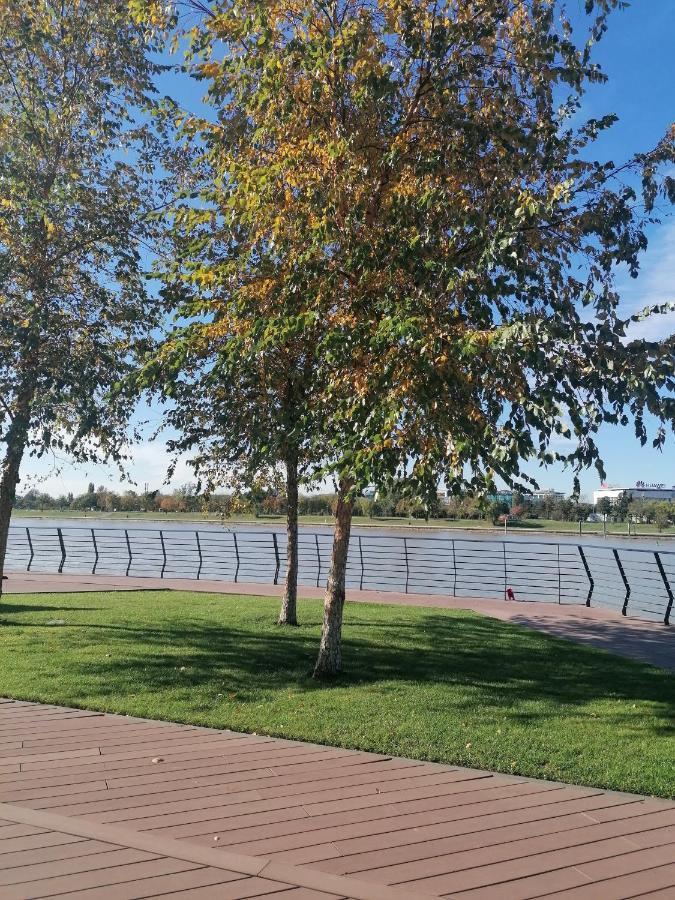Apartament Belgrade Waterfront Cozy Symphony 1 Sajmiste Zewnętrze zdjęcie